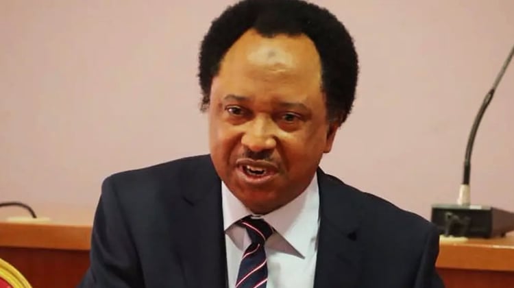 “It’s Not Your Father’s House” — Shehu Sani Tells Nigerians Affected by U.S. Visa Cancellations